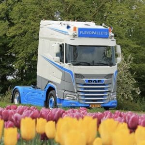 DAF Sunvisor Fox Parts XF/XG 30cm